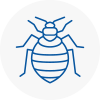 Bed Bug Extermination In Halesworth