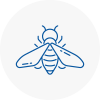 Bee Nest Removal Halesworth