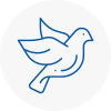 Bird Prevention Halesworth