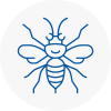 Halesworth Hornet Nest Removals