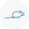 Mice Exterminators In Halesworth