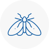 Moth Control Specialists In Halesworth