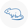 Rat Control Halesworth