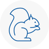 Halesworth Rodent Removals