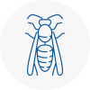 Halesworth Wasp Nest Removal